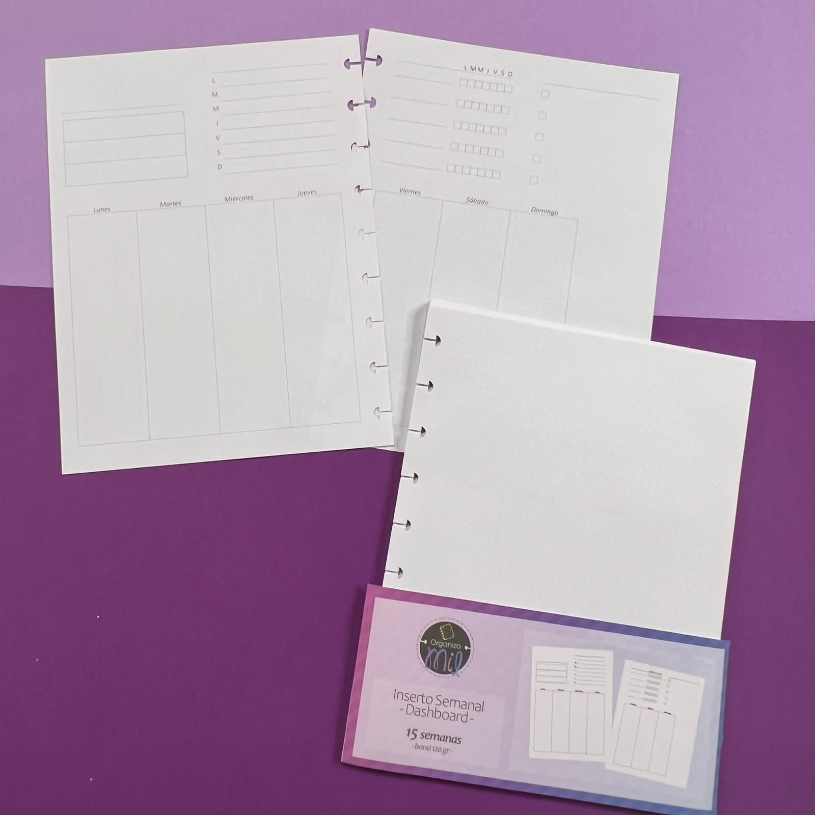 WhatsApp Image 2024-01-09 at 15.30.29 (3)