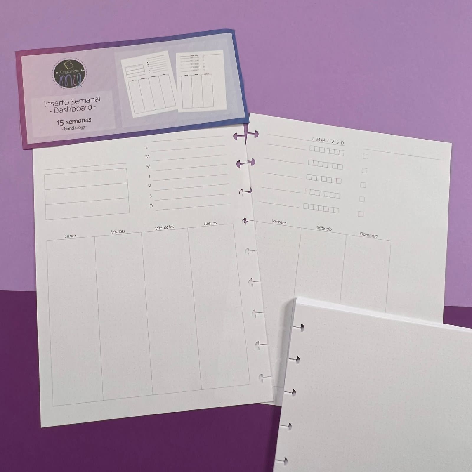 WhatsApp Image 2024-01-09 at 15.30.30